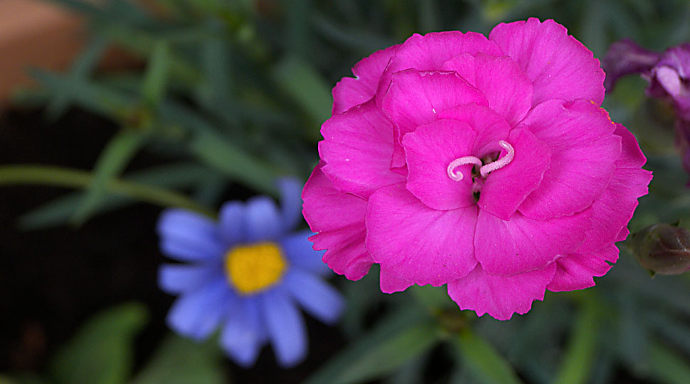 les couleurs de l'&eacute;motion