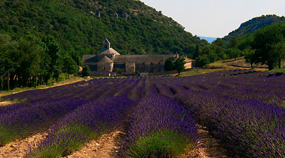 l'abbaye de S&eacute;nanque